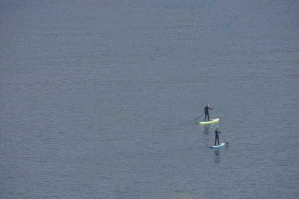 24 March 2020 - 08-31-56 
Social distancing. Dartmouth style.
------------
Paddle boarding river Dart